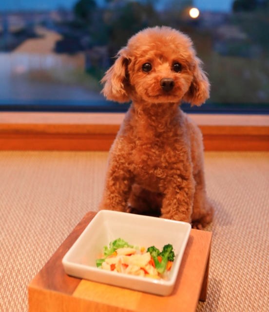 【ペットと泊まれる関西・西日本の温泉宿15選】レジーナリゾートびわ湖長浜(滋賀県・長浜太閤温泉)