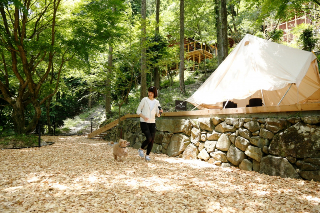 【ペットと泊まれる関西・西日本の温泉宿15選】 湯山荘 阿讃琴南(香川県・美合温泉)