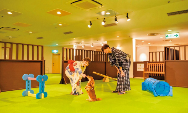 【ペットと泊まれる関西・西日本の温泉宿15選】 大江戸温泉物語わんわんリゾート 粟津(石川県・粟津温泉)