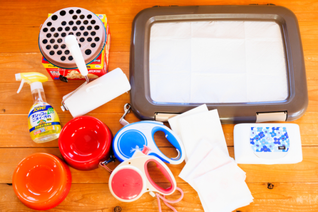 ドッググランピング滋賀高島(滋賀県・高島市)