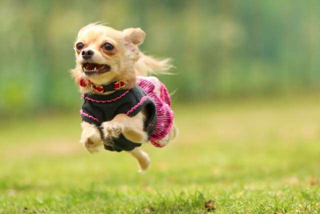 In the Outdoor白浜志原海岸(和歌山県・白浜町)