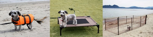 ドッググランピング京都天橋立(京都府・宮津市)