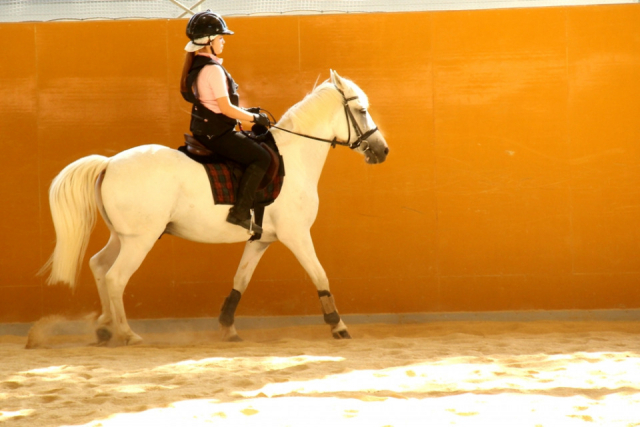 【大阪 ペットOKのカフェ&レストラン】森の小径(大阪・貝塚市)