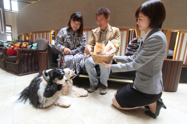【ペットと泊まれる関西・西日本の温泉宿15選】ホテル島花(兵庫県・洲本温泉)
