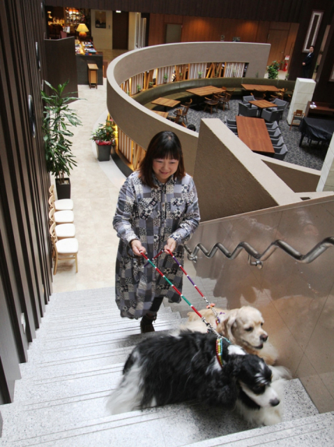 【ペットと泊まれる関西・西日本の温泉宿15選】ホテル島花(兵庫県・洲本温泉)