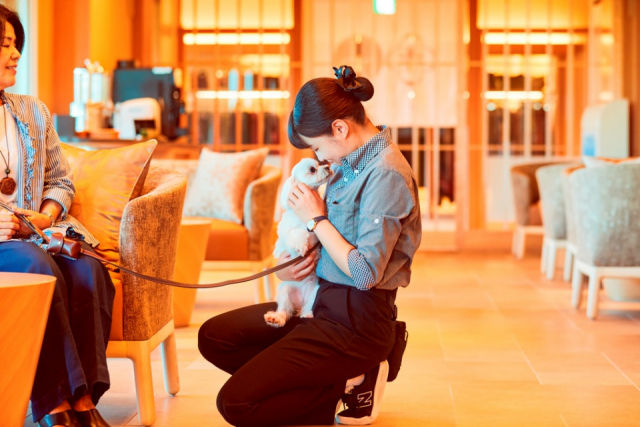 【ペットと泊まれる関西・西日本の温泉宿15選】 DOG UP VILLA(兵庫県・有馬温泉)