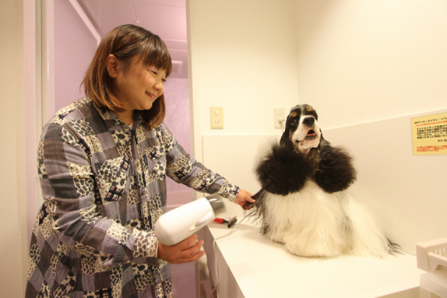 【ペットと泊まれる関西・西日本の温泉宿15選】ホテル島花(兵庫県・洲本温泉)