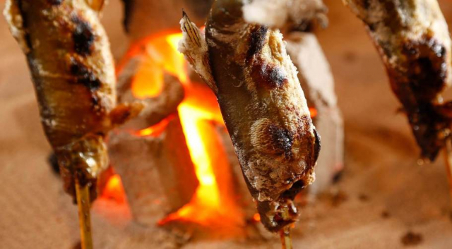 【ペットと泊まれる関西・西日本の温泉宿15選】 湯山荘 阿讃琴南(香川県・美合温泉)