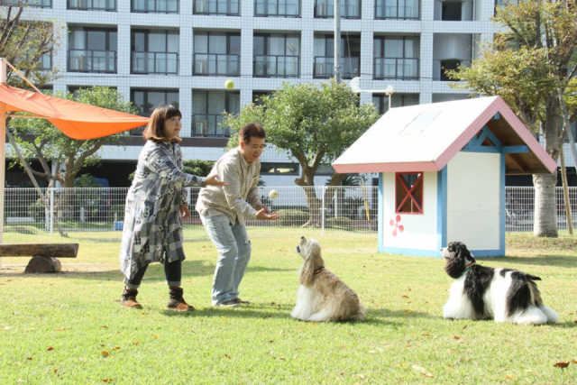 【ペットと泊まれる関西・西日本の温泉宿15選】ホテル島花(兵庫県・洲本温泉)