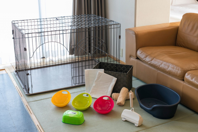 【ペットと泊まれる関西・西日本の温泉宿15選】ホテル島花(兵庫県・洲本温泉)