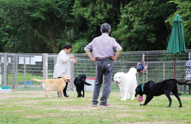 【大阪 ペットOKのカフェ&レストラン】森の小径(大阪・貝塚市)