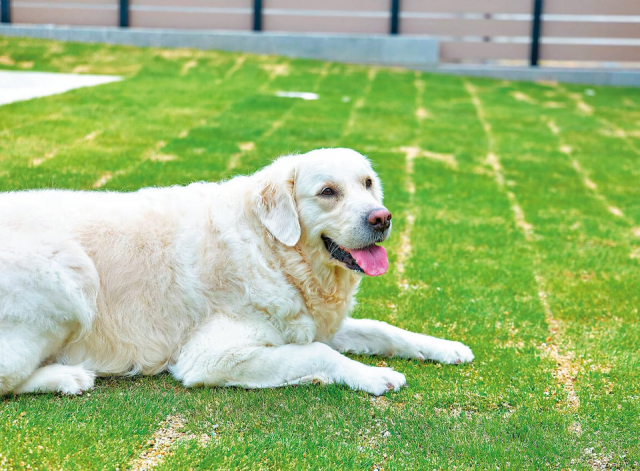 うみテラス二色の浜(大阪府・貝塚市)
