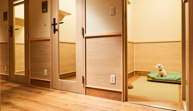 【ペットと泊まれる関西・西日本の温泉宿15選】 DOG UP VILLA(兵庫県・有馬温泉)