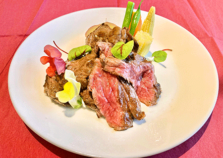 【ペットと泊まれる関西・西日本の温泉宿15選】 ホテル神戸六甲迎賓館(兵庫県・神戸二軒茶屋温泉)