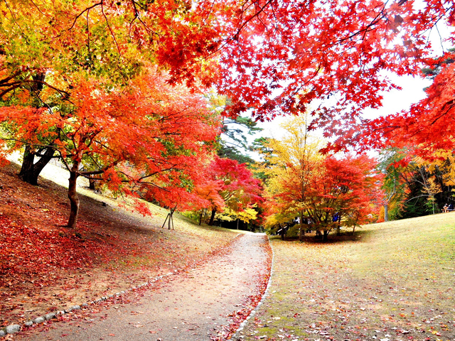 関西のおすすめ秋デートスポット50選! 絶対に外さない 10・11月のおすすめ秋スポット