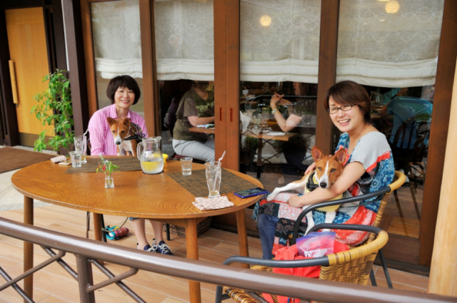 【滋賀 ペットOKのカフェ&レストラン】ハーブガーデン カフェ光の穂(滋賀・栗東市)