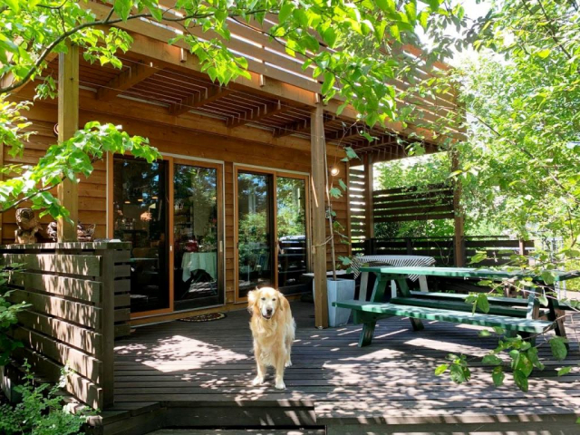 【滋賀 ペットOKのカフェ&レストラン】Roz&Mary Cafe(滋賀・大津市)