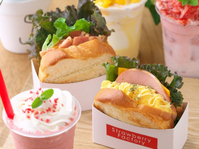 【滋賀 ペットOKのカフェ&レストラン】ストロベリーファクトリー(滋賀・草津市)