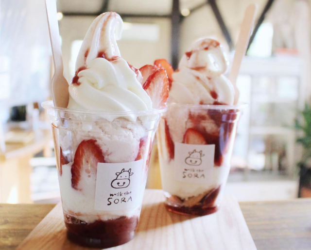 【京都 ペットOKのカフェ&レストラン】ミルク工房そら(京都・京丹後市)