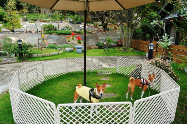 【滋賀 ペットOKのカフェ&レストラン】ハーブガーデン カフェ光の穂(滋賀・栗東市)