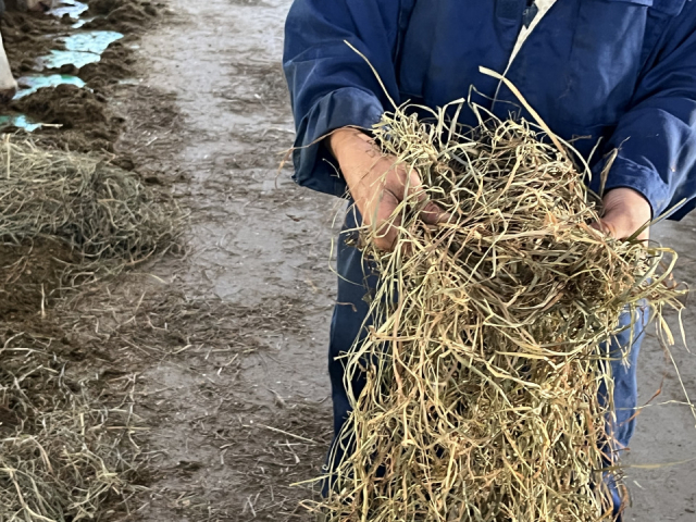 おいしさのヒミツは岩本牧場の牛乳