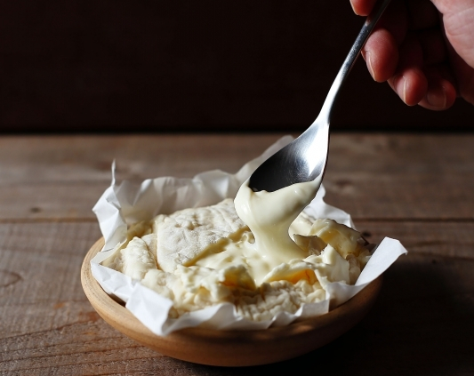 【京都 ペットOKのカフェ&レストラン】ミルク工房そら(京都・京丹後市)