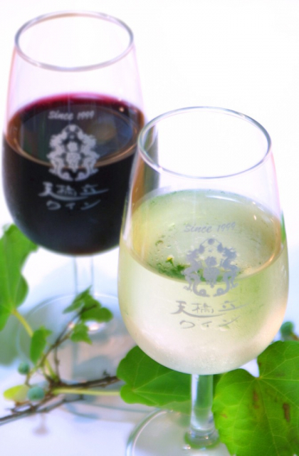 【京都 ペットOKのカフェ&レストラン】Café du Pin 千歳(京都・宮津市)