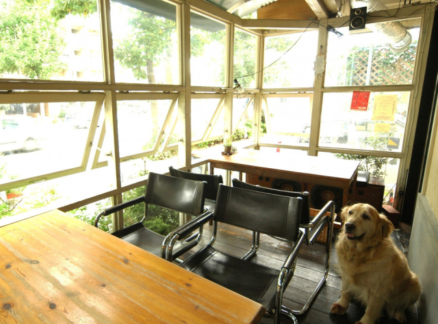 【兵庫 ペットOKのカフェ&レストラン】Pizzeria Bene bene(兵庫・神戸市東灘区)