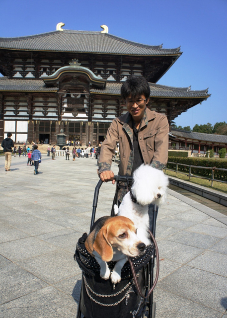 【ペット連れで行く奈良】東大寺