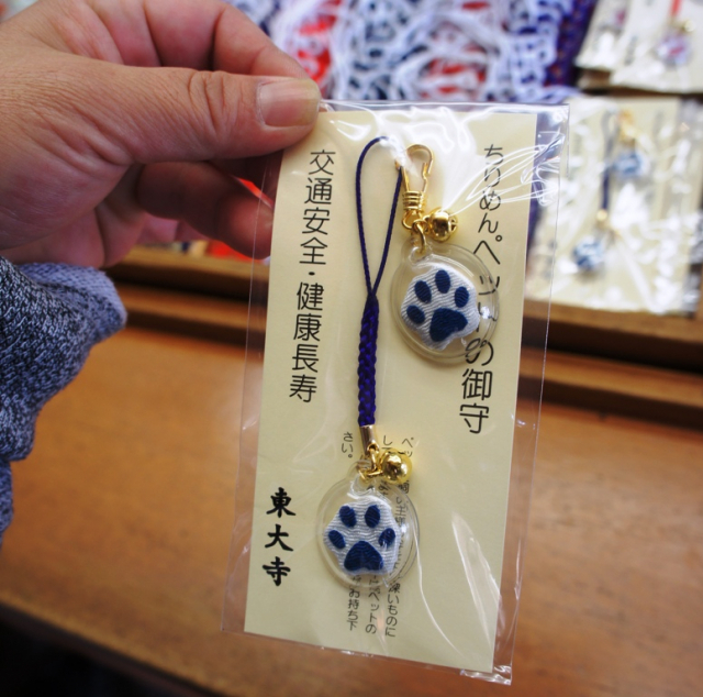 【ペット連れで行く奈良】東大寺