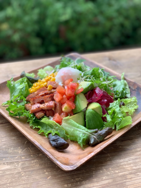 【ペット連れで行く奈良】Link-cafe