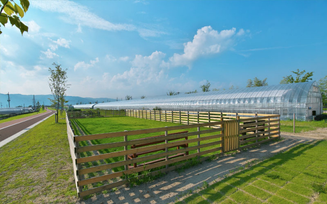 【滋賀 ペットOKのカフェ&レストラン】ストロベリーファクトリー(滋賀・草津市)