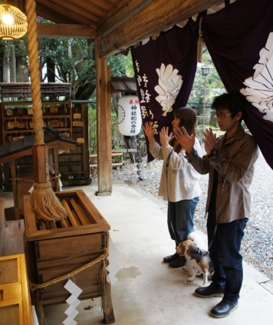 【ペット連れで行く奈良】吉水神社(番外編)