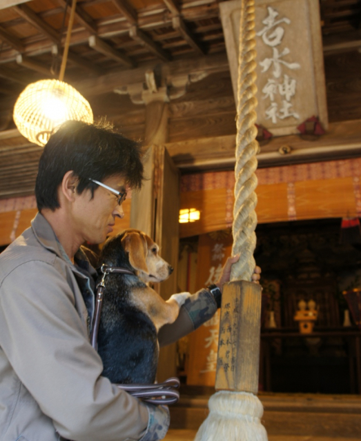 【ペット連れで行く奈良】吉水神社(番外編)