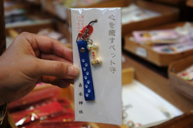 【ペット連れで行く奈良】吉水神社(番外編)