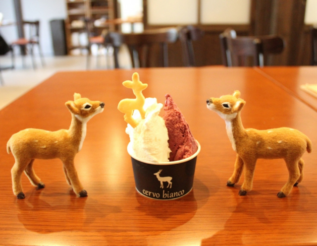 【ペット連れで行く奈良】cervo bianco