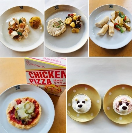 【ペット連れで行く奈良】ぽちたまカフェ