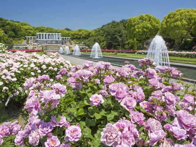 兵庫のおすすめ秋デートスポット19選! 絶対に外さない 10・11月のおすすめ秋スポット