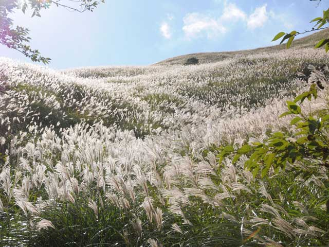 静岡のおすすめ秋デートスポット20選! 絶対に外さない 10・11月のおすすめ秋スポット