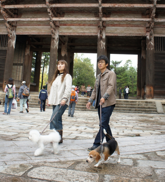 【ペット連れで行く奈良】東大寺