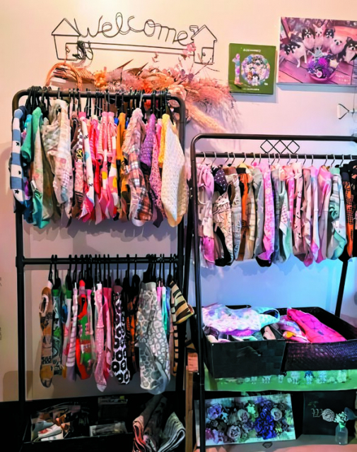 【ペット連れで行く奈良】happy wan lifeくんくん