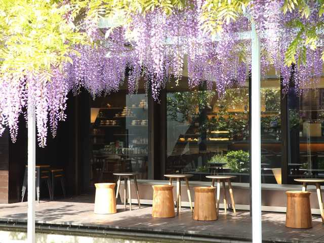 鎌倉のおすすめ朝ごはんスポット6. スターバックスコーヒー 鎌倉御成町店