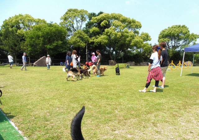 【愛犬と浜名湖へ!】ドッグガーデン HAMA&WAN