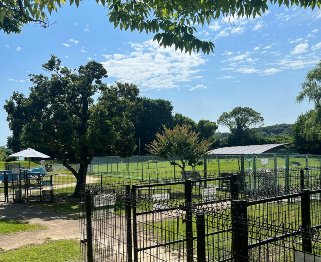 【愛犬と浜名湖へ!】ドッグガーデン HAMA&WAN