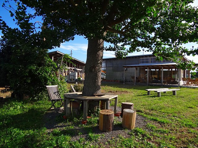 【愛犬と琵琶湖へ行こう!】ソラノネ食堂(湖西エリア)