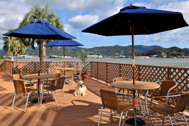 【愛犬と浜名湖へ!】浜名湖レークサイドプラザ ドッグカフェ&ドッグラン Cafe The Rodhos