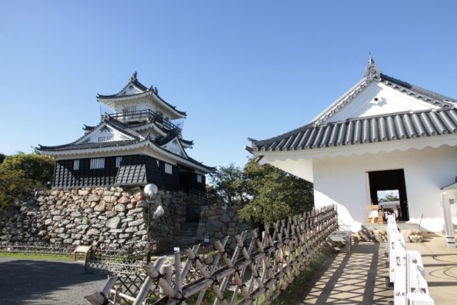 【愛犬と浜名湖へ!】浜松城公園