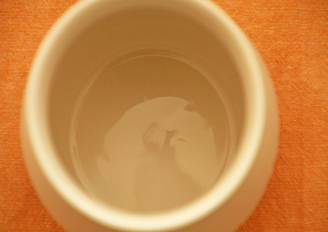 素焼き調味料入れ(SUGAR)