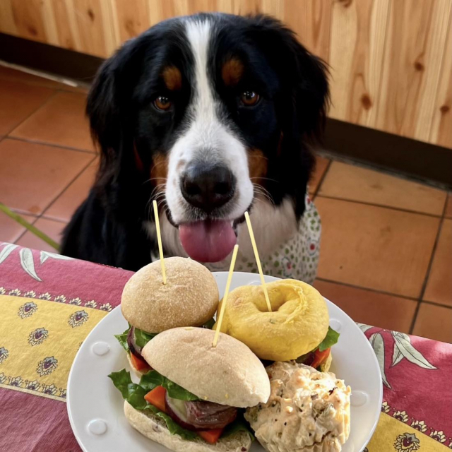 【愛犬と浜名湖へ!】ラリーズカンパニー