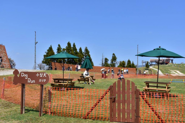 【愛犬と琵琶湖へ行こう!】びわ湖バレイ(大津・湖南エリア)